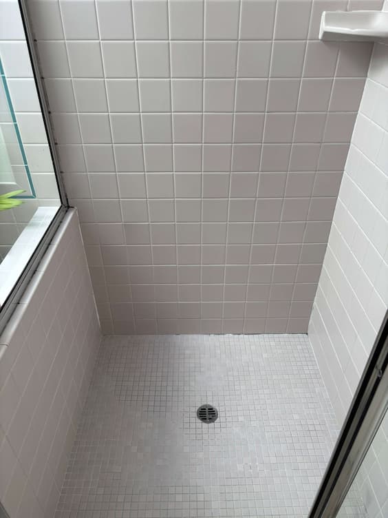 Discolored dingy grout before color restoration service in Edmonds WA