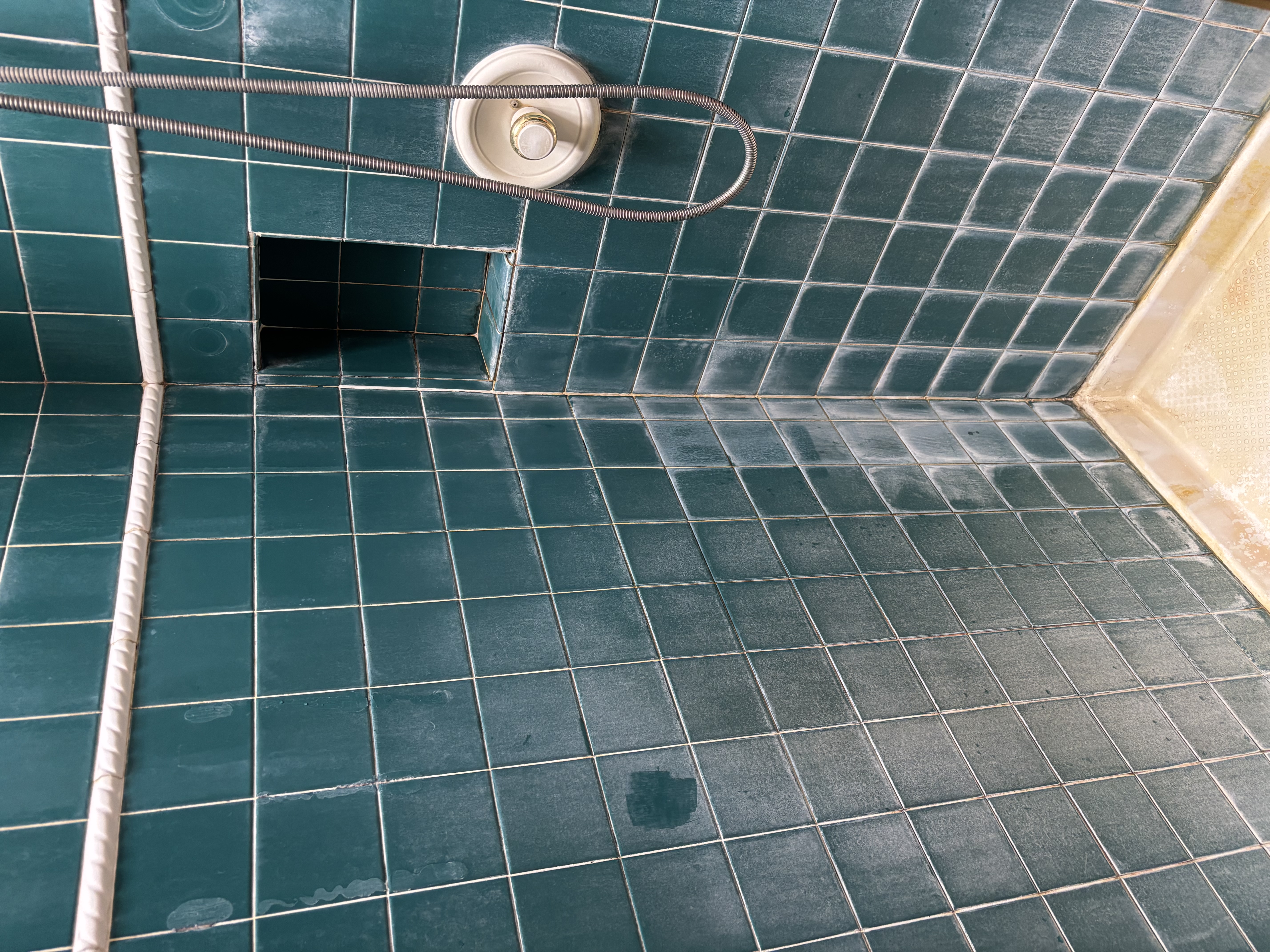Master bathroom before restoration - stained grout and dull tiles in Seattle home
