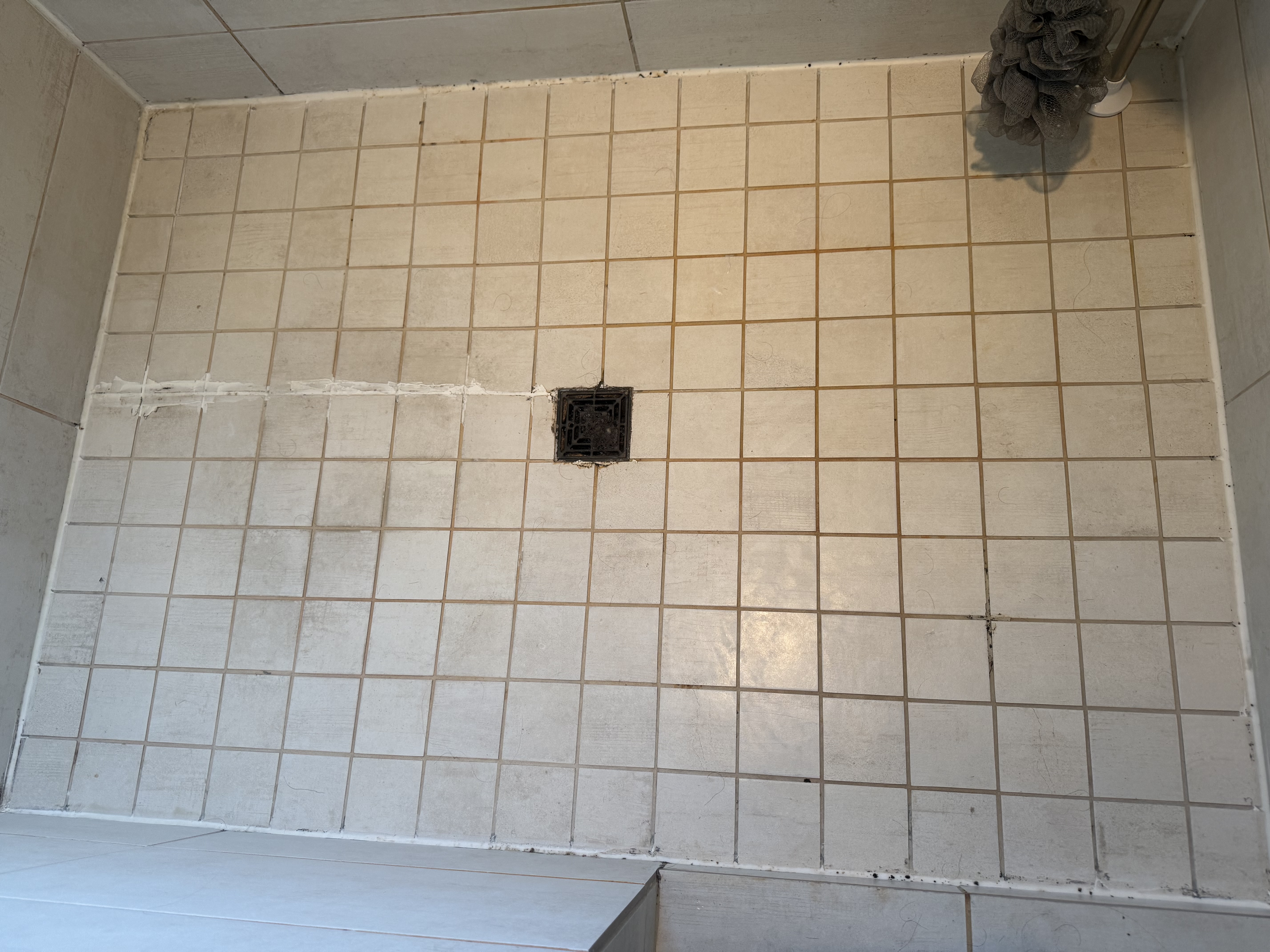 Discolored dingy grout before color restoration service in Bellevue WA