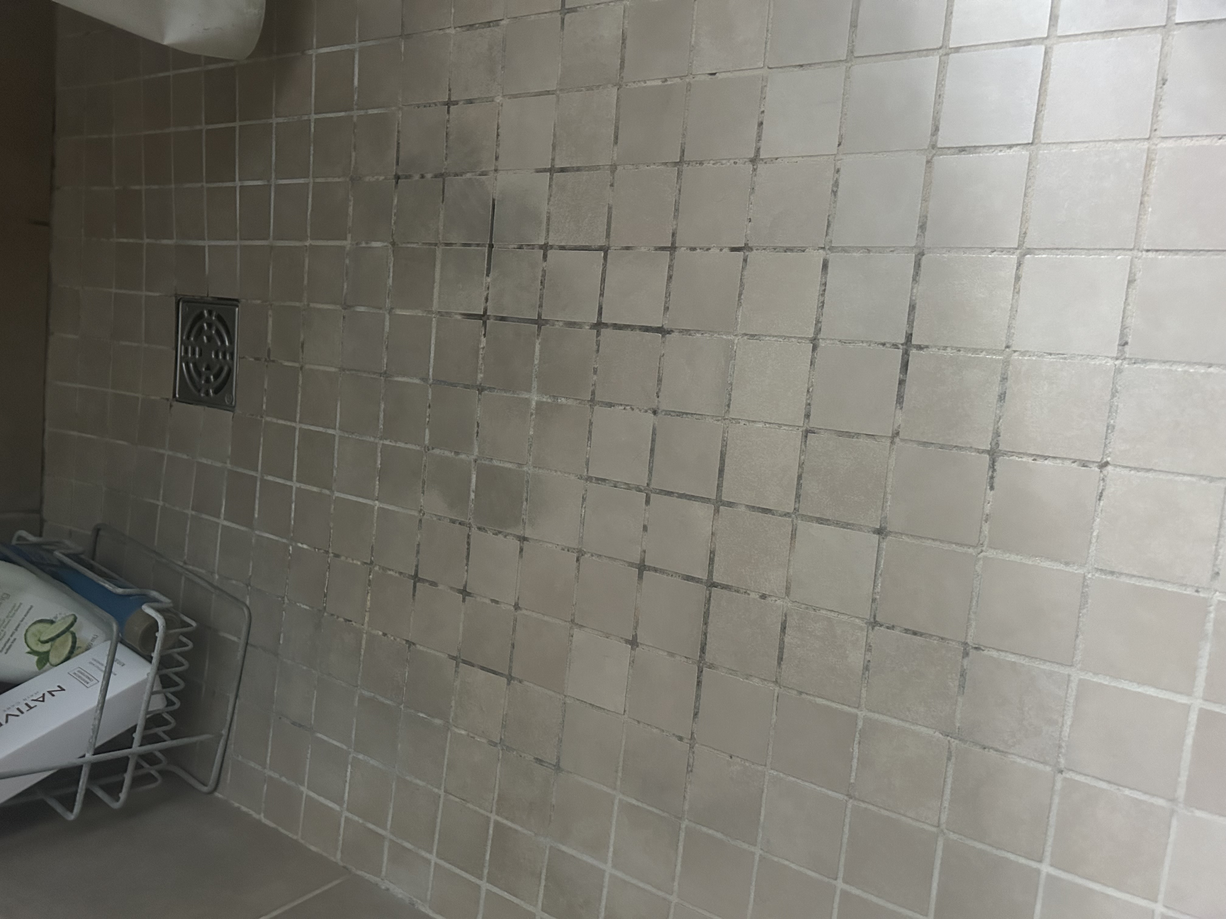 Unsealed porous grout before professional sealing service in Seattle